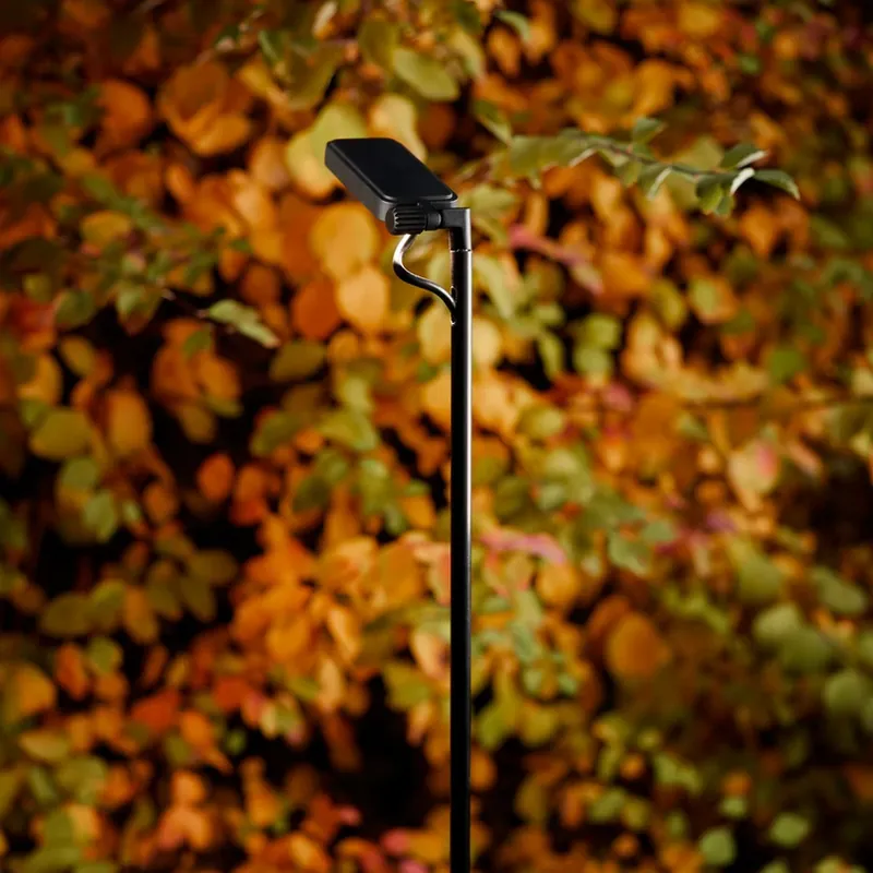 Luceplan LED tuinpadverlichting Flia, 2-lamps, zwart, kunststof Tijdelijk Beschikbaar