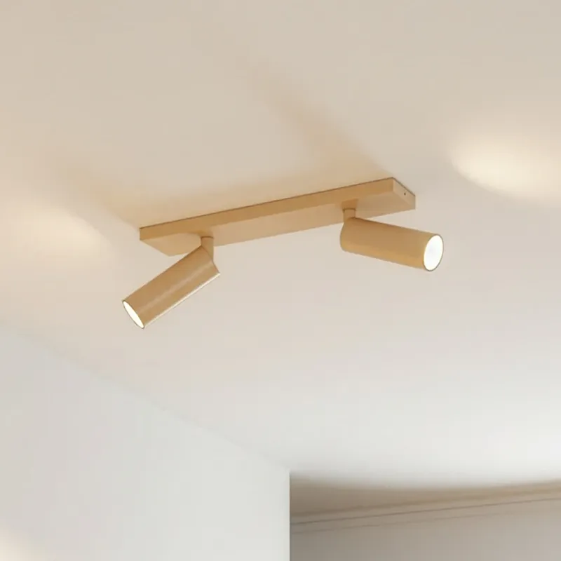 Seizoensaanbieding Arcchio plafondspot Brinja Slim, koffie, 2-lamps, GU10 MR11