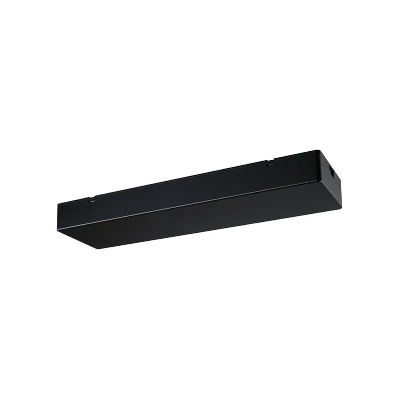 Paulmann voeding Power Box Linion zwart aan/uit 230/24V Gecertificeerd
