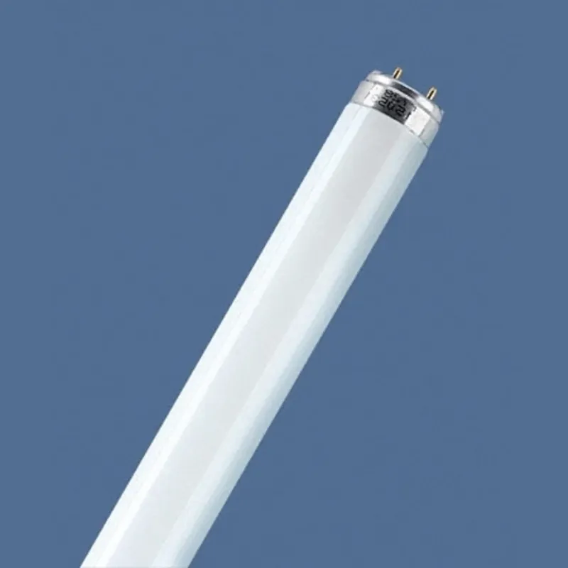 Populair OSRAM fluorescentielamp LUMILUX, G13 T8, 150 cm 6.500 K 58 W