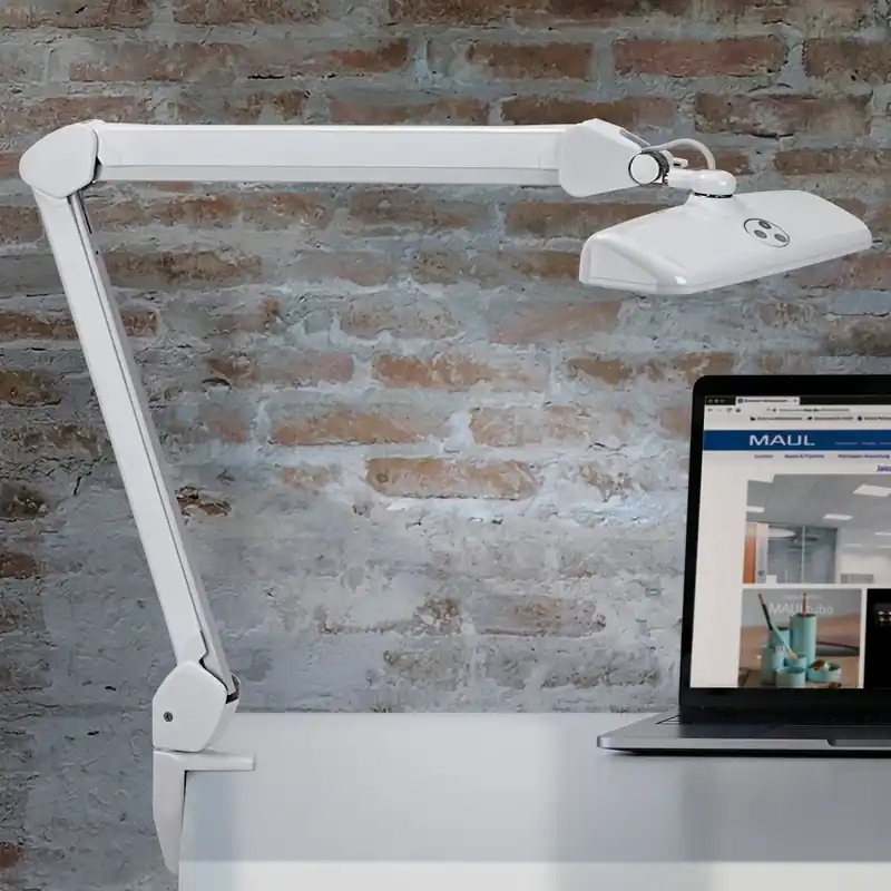 MAULintro LED-werklamp, wit, 52 cm, klemvoet Seizoensaanbieding