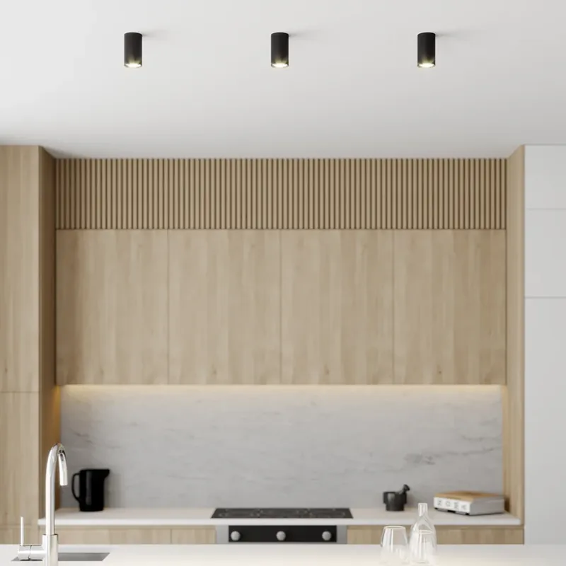 Downlight Eye S in cilindervorm, zwart Betrouwbaar