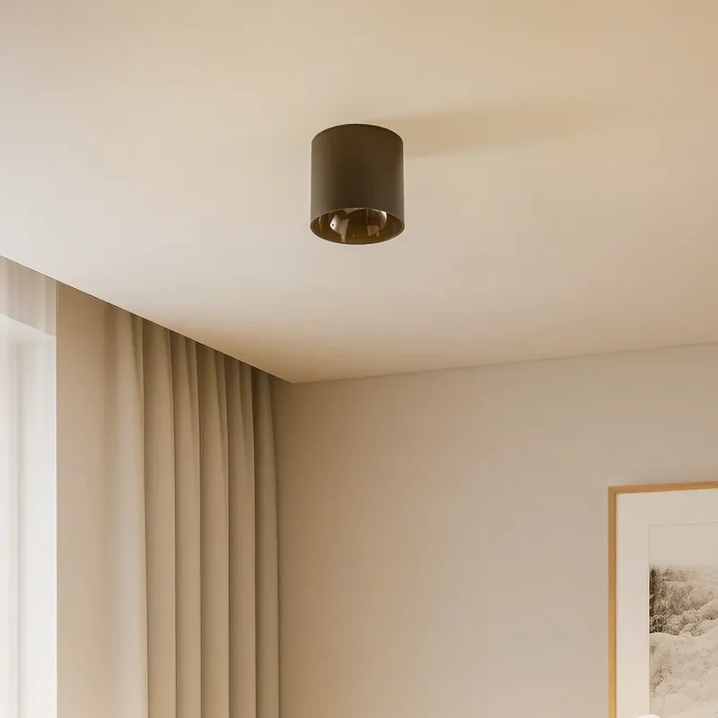 Beperkt Aanbod Downlight Point Tone, zwart