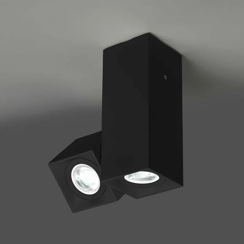 Milan Dau spot plafondlamp 2-lamps zwart Direct Beschikbaar