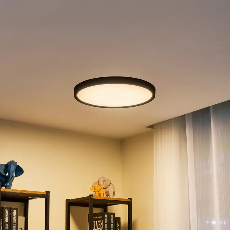Lindby Smart LED plafondlamp Pravin, Ø 50 cm, CCT, zwart Gereduceerde Prijs